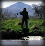 �a���̂��������ƂȂ����n���[�W�F�[�~�\��������2