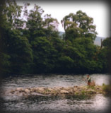 �a���̂��������ƂȂ����n���[�W�F�[�~�\��������3